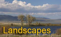 Landscapes in Red Rock Lakes National Wildlife Refuge